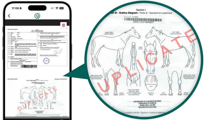 Store important documents