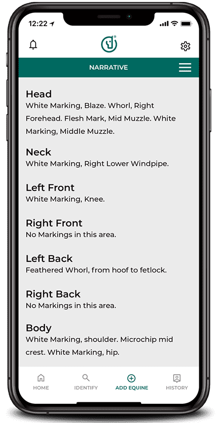 Equine Marking Narative